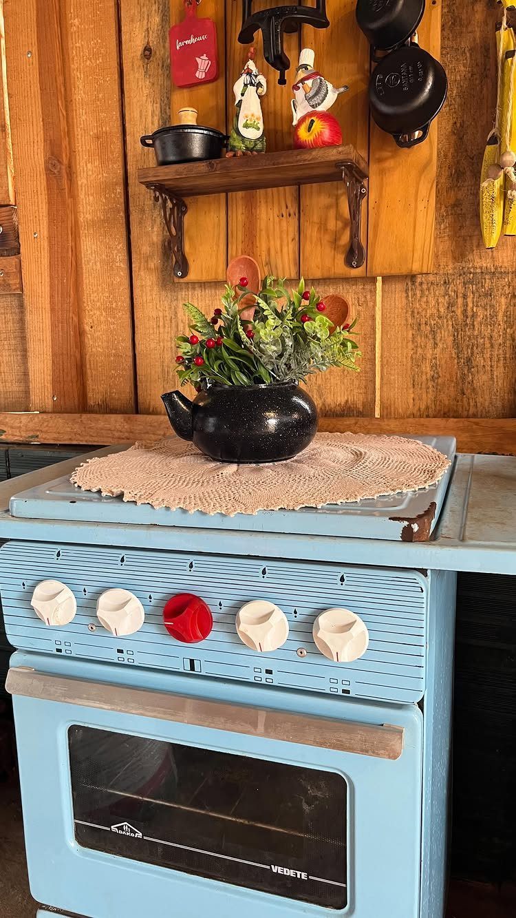 29 Rustic Farmhouse Kitchen Ideas That Feel Collected, Not Cataloged 22 Light blue vintage stove with a black plant pot on a crocheted mat against wood walls.